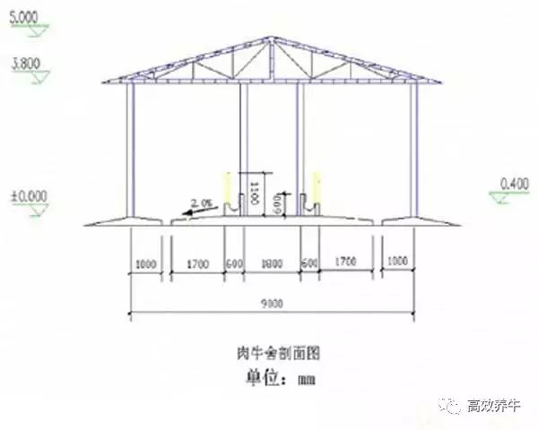 透视盘点 第140页