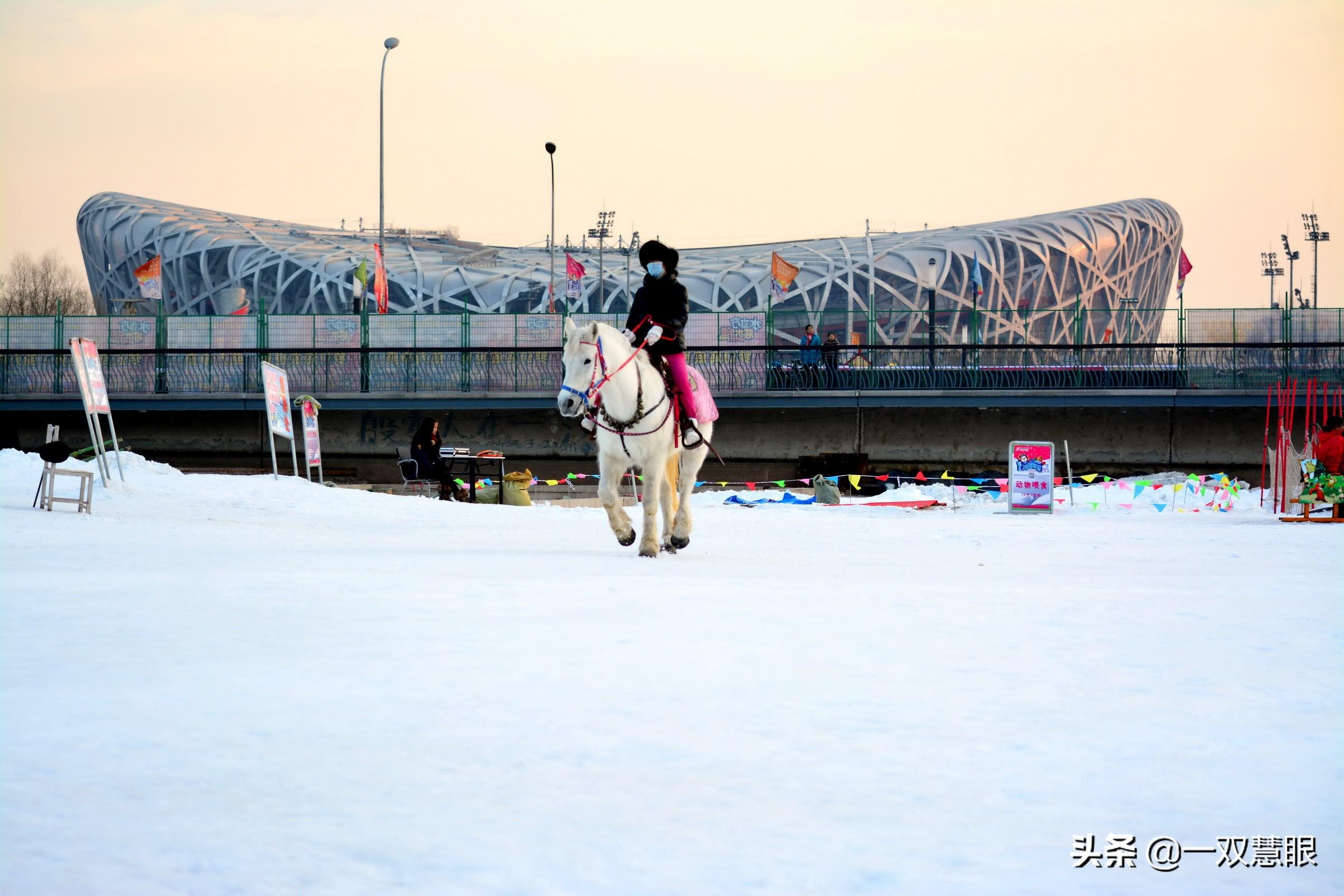 雪地驰骋全新篇章，精彩更新尽在其中